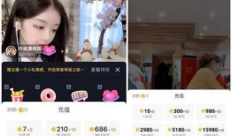 抖音爆料视频的主播网名,揭秘神秘主播背后的故事